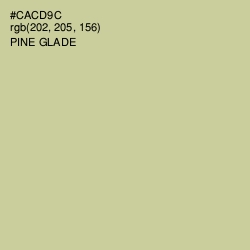 #CACD9C - Pine Glade Color Image